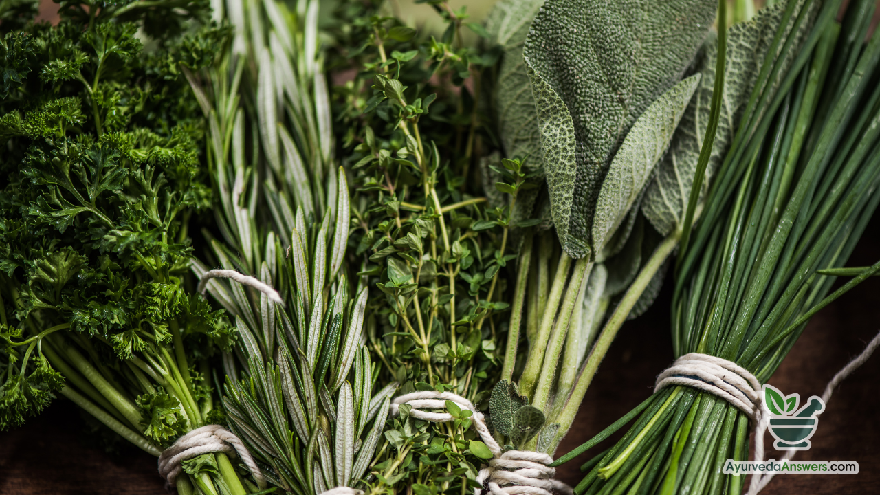 Discover the Healing Power of Herbs 🌿